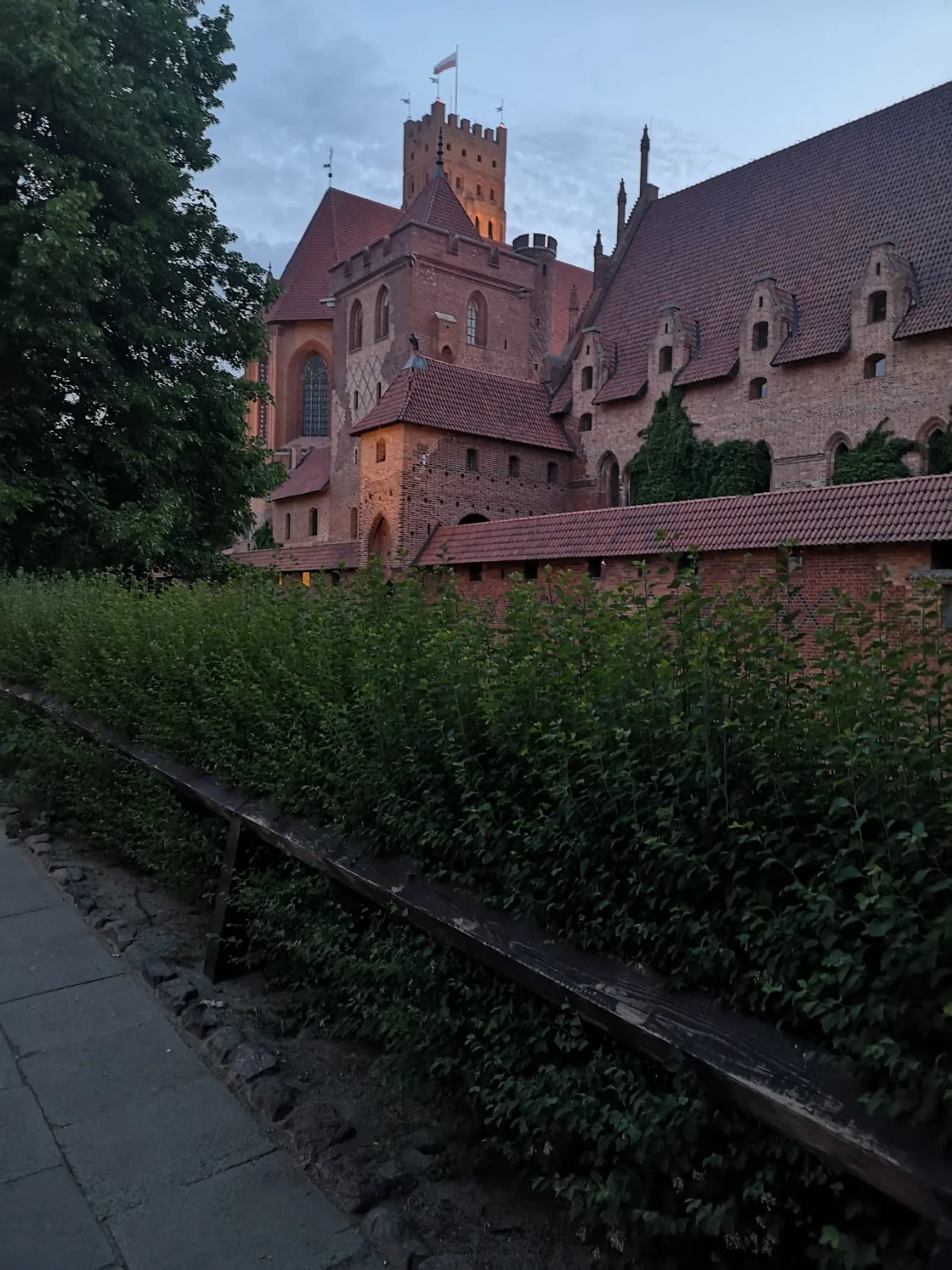 Zdjęcie zamku w Malborku